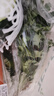 带根香菜100g 实拍图