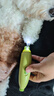 雪貂留香猫咪磨甲器专用狗狗指甲钳神器猫爪子宠物指甲打磨刀 实拍图
