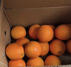 京鲜生 四川爱媛38号果冻橙 净重10斤 单果150g起 生鲜水果柑橘礼盒  实拍图