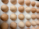 京鲜生柴鸡蛋30枚 3斤 无抗生素 谷物喂养鲜鸡蛋 源头直发 实拍图