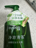 丝蕴（syoss）洗发水净澈清茶去屑控油洗发露 680ml绿茶蓬松无硅油洗头膏 实拍图