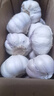 紫白皮蒜水果大蒜超市即食生鲜蔬菜大蒜 【优选】带箱 1斤 单果3.5-5cm 实拍图