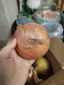 新鲜黄洋葱黄金水果洋葱即食蔬菜调料烧烤食材 新鲜黄洋葱 3斤 含箱 实拍图