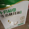 十月稻田 25年新米 生态胚芽米 90%留胚 5斤(营养辅食 儿童粥米 东北大米) 实拍图