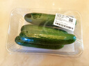 【水果菜】荷兰水果黄瓜约400g 实拍图