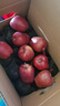 京鲜生 甘肃天水花牛苹果 又大又红 净重10斤 单果200g以上 新鲜水果  实拍图