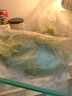 太力保鲜袋果蔬袋食品袋食品级可冷冻冰箱水果蔬菜立体 大号15个装 实拍图