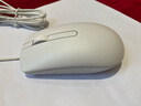 戴尔（DELL）MS116 鼠标 有线鼠标  办公鼠标 对称鼠标 USB接口 白色 实拍图
