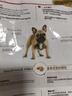 皇家狗粮 斗牛犬成犬狗粮 犬粮 宠物中型犬 FBA26 全价犬粮 ≥12月3KG 实拍图