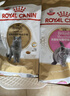 皇家英短成猫粮 BS34 通用粮 12月以上 4.5KG 实拍图