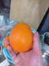 集南鲜 赣南脐橙 江西橙子新鲜现摘水果脐橙时令生鲜水果甜橙 水果礼盒 彩箱10斤特级橙  单果220g+ 净重9斤 推荐 实拍图