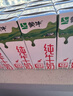 蒙牛全脂纯牛奶200ml*24盒 家庭年货囤货 电商定制 实拍图