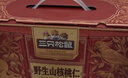 三只松鼠野生山核桃仁500g/盒 每日坚果礼盒炒货零食品 团购送礼 实拍图