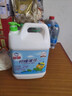 白猫 柠檬薄荷洗洁精5kg*4瓶（整箱装） A类食品用祛油除腥青柠薄荷香 实拍图