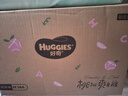 好奇（Huggies）铂金装小桃裤纸尿裤M144片(6-11kg)中号尿不湿【透爽散热】 实拍图