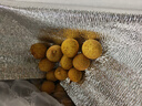 京鲜生 泰国精选进口龙眼 净重4.5斤 果径23-25mm 水果源头直发包邮 实拍图