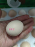 京鲜生富硒鲜鸡蛋30枚 3斤 源头直发 实拍图