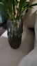 墨斗鱼花瓶简约玻璃花瓶插花水养玫瑰鲜花富贵竹新年礼物客厅餐桌摆件 实拍图