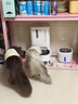 小佩宠物AI智能自动喂食器可视版 定时定量 视频监控(支持鸿蒙智联) 实拍图