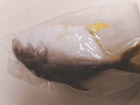 翔泰海南深海金鲳鱼700g 2条 火锅 生鲜鱼类 BAP认证 海鲜水产  实拍图