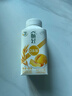 伊利畅轻低温酸奶 0添加 燕麦黄桃酸牛奶250g*4瓶 风味发酵乳 实拍图