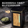 京东京造 2025新茶特级信阳毛尖100g栗香明前嫩芽叶绿茶茶叶自营 送礼 实拍图