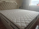 海马飞雪床垫席梦思天然椰棕乳胶独立弹簧床垫酒店厚薄双人家用榻榻米垫子 12cm厚舒适款(乳胶+独立弹簧) 1.8x2米 实拍图
