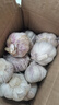 紫白皮蒜水果大蒜超市即食生鲜蔬菜大蒜 【优选】带箱 1斤 单果3.5-5cm 实拍图