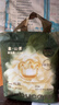 babycare金山茶花婴儿拉拉裤mini装XL码18片(12-17kg)尿不湿【新老混发】 实拍图