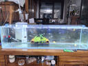 疯狂水草（FKSC）壁挂式鱼缸过滤器系统全套plus机甲15W悬浮除油膜循环增氧一体机 实拍图