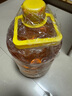 鲁花 食用油  物理压榨  非转基因 玉米油6.18L   实拍图