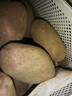 【真便宜】红皮土豆高原黄心土豆马铃薯红皮黄心洋芋 蔬菜水果 9斤大果【单果150g+】 实拍图