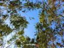 影石Insta360【晒单有礼】影石Ace Pro 运动相机 旗舰影像AI智能高清防抖防水摩托车行车记录仪骑行Vlog视频 官方标配【快可次日达】 官方标配+Care一年版【下单联系客服激活】 实拍图
