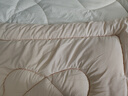 水星家纺被子冬被冬季被子加厚保暖被芯A类纤维被褥约6.8斤 实拍图