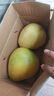 福建平和老树红柚 新鲜现摘 皮薄肉厚多汁 蜜柚柚子 1-1.5斤（尝鲜） 实拍图