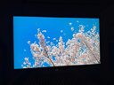 雷鸟U8 25款 27英寸4K165Hz 1152分区QD-MiniLED电竞显示器 双音响 Type-C 90W HDR1400办公电脑显示屏 实拍图
