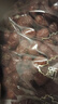 新边界（new boundaries）新疆红枣免洗灰枣2000g/箱蜜饯果干特产阳光小枣子办公室零食礼盒 实拍图