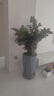 九千谷植物支撑架支撑支架园艺花架阳台爬藤护叶半圆35*70CM 2对装8373 实拍图