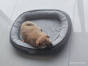 【京东快递】猫窝狗窝保暖中大型狗垫子四季狗狗窝垫大型狗窝沙发 浅灰色 L- 60*48cm 适合15斤内宠物 实拍图