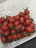 京鲜生广西千禧小番茄净果2斤 盒装 （单果6g+） 新鲜包邮 源头直发 实拍图