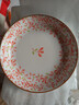 家用大号微波炉专用碗盘碟子加热耐热器皿耐高温用具陶釉下彩精致 四季繁花7.0英寸菜盘1个装 实拍图