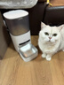 霍曼（Homerun）AI智能宠物自动喂食器视频版 猫猫咪喂食定时定量摄像头可视64G卡 实拍图