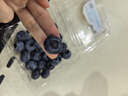 怡颗莓Driscoll's云南蓝莓Jumbo大果18mm+ 12盒装约125g/盒新鲜水果礼盒 实拍图