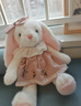 威尔通（WELTSTON）毛绒玩具布娃娃抱枕玩偶摆件儿童生日新年礼物礼品女垂耳兔子公仔 实拍图