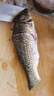  鲜活大鲤鱼1-1.25kg/条 实拍图
