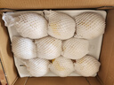 京鲜生 长城晋州鸭梨 地标产品 净重5斤 单果250g+ 生鲜水果礼盒 实拍图