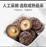 鹤来香（HELAIXIANG）精品香菇干货肉厚银耳干货羊肚菌鹿茸菇炖汤火锅食材批发菌类 精选香菇【100克】 实拍图