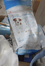 皇家狗粮幼犬奶糕幼犬狗粮宠物小型犬MIS30全价犬粮 ≤2月1KG 实拍图