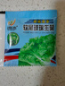 【京东物流】蔬菜种子四季播盆栽阳台庭院香菜生菜菠菜简单秋易种 玻璃生菜种子1包约1000粒 实拍图