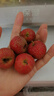 看得健【小乔农场】山楂果新鲜山楂鲜果冰糖葫芦红果孕妇水果酸甜 【小乔农场】山楂鲜果5斤装 实拍图